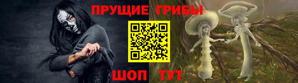 Галлюциногенные грибы Psilocybe  Псилоцибиновые грибы мицелий  Всеволожск  наркошоп  Вход с VPN 
